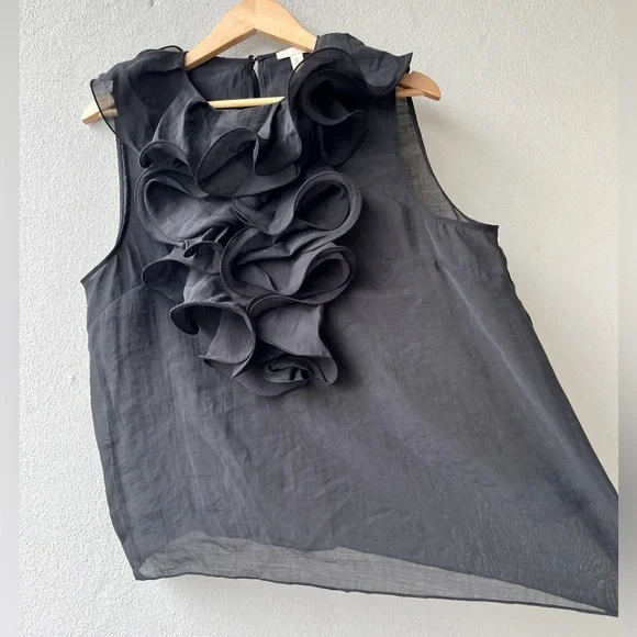 H&M | Sheer Ruffle Sleeveless Top - Picture 2 of 16